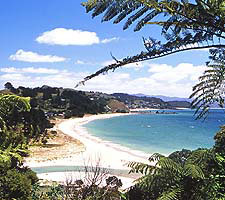 Kuaotunu coastline