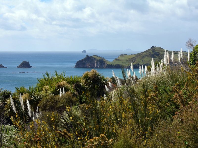 coromandel-peninsula-1325357_1280